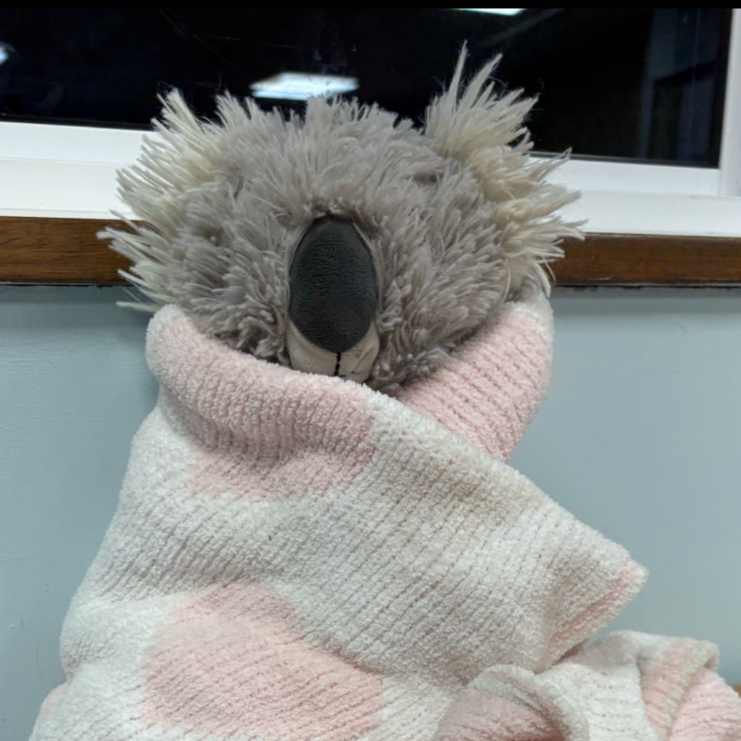 When a School Truly Gets It